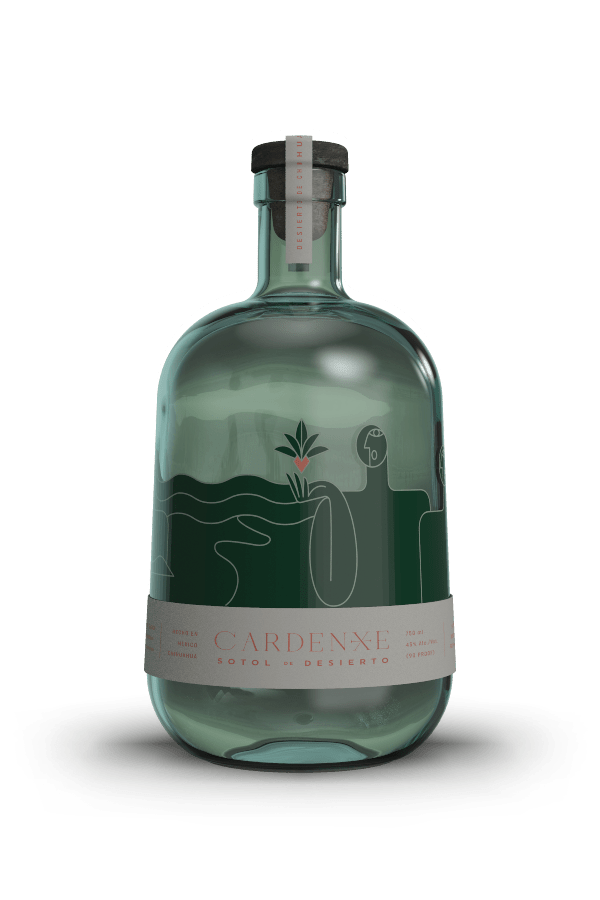 Sirop d'Agave du Mexique 500 ml Destination